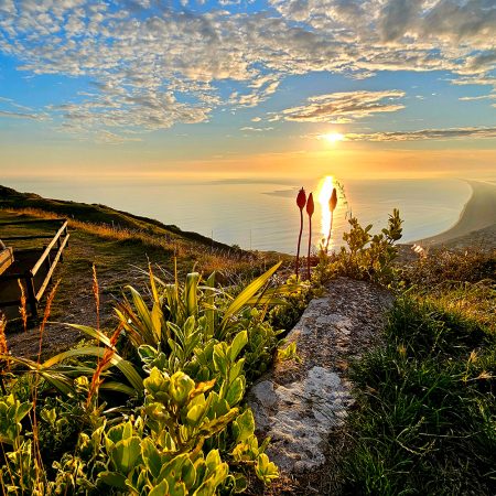 Summer Sunset Chesil Beach