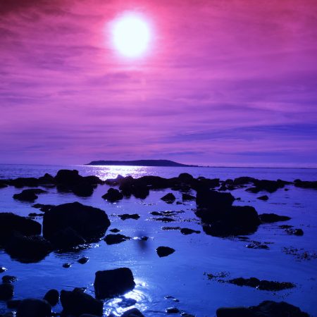 Purple Sunset