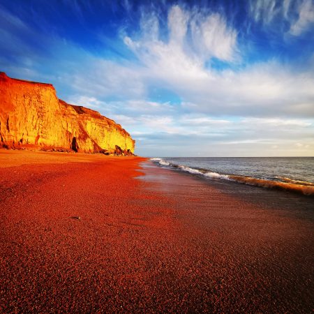 Summer Shadows West Bay